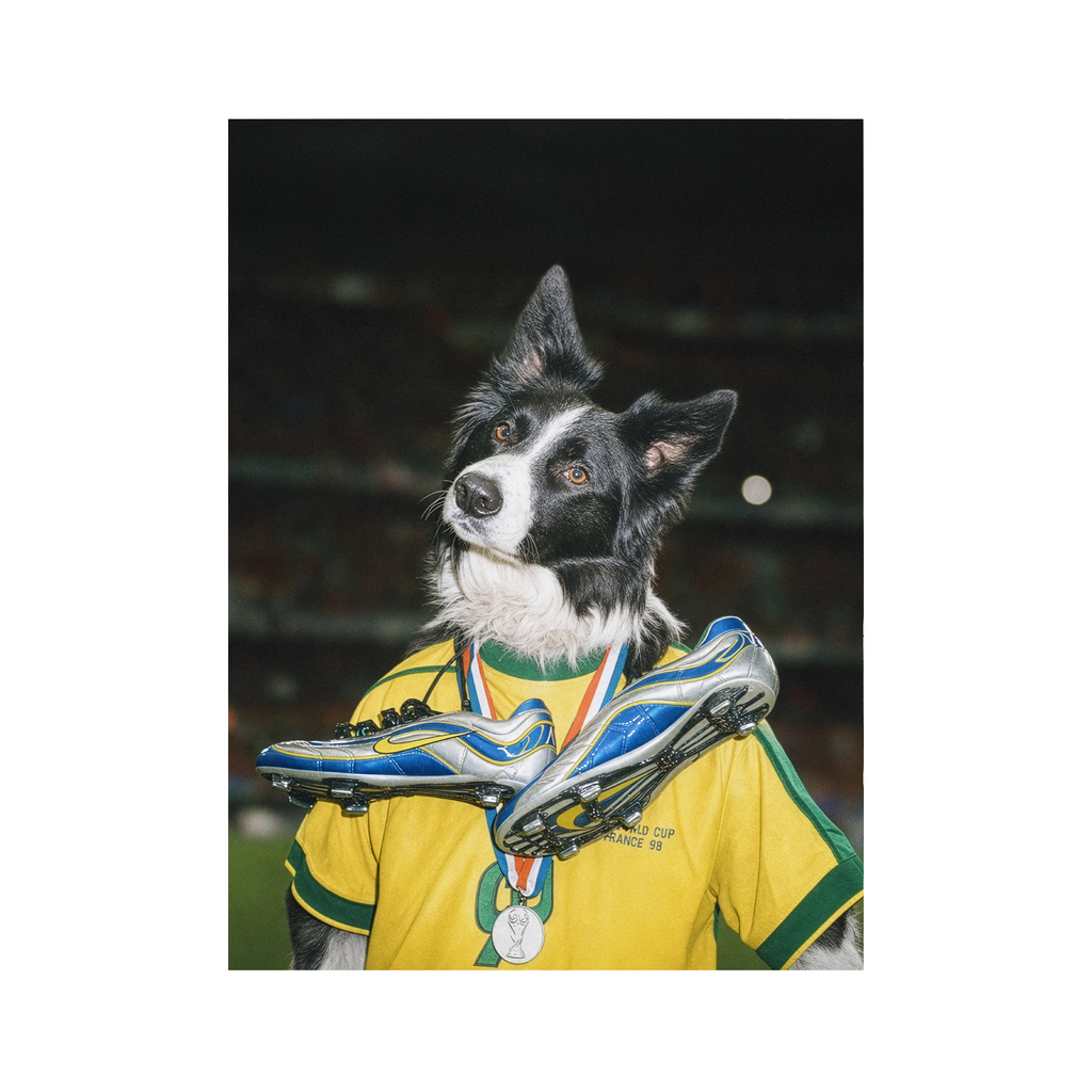 "Golden Boot"  - Framed Pet Portrait