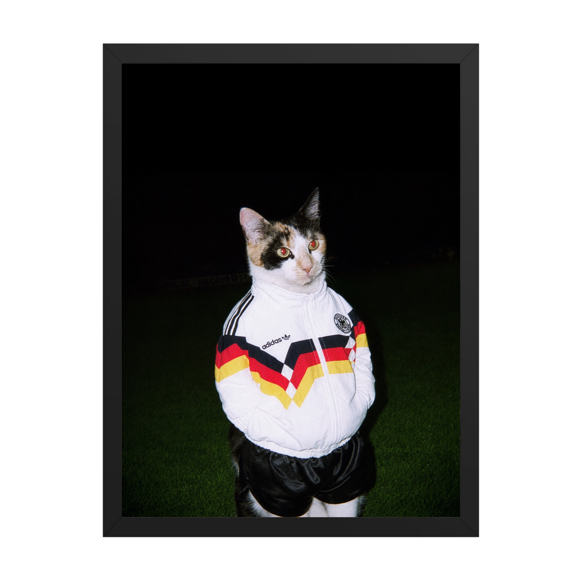 "Berlin Wall" - Framed Pet Portrait