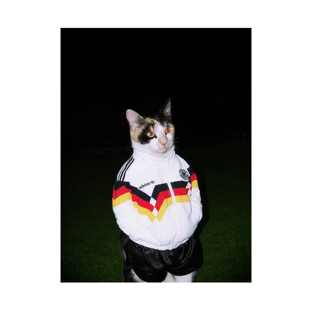"Berlin Wall" - Framed Pet Portrait