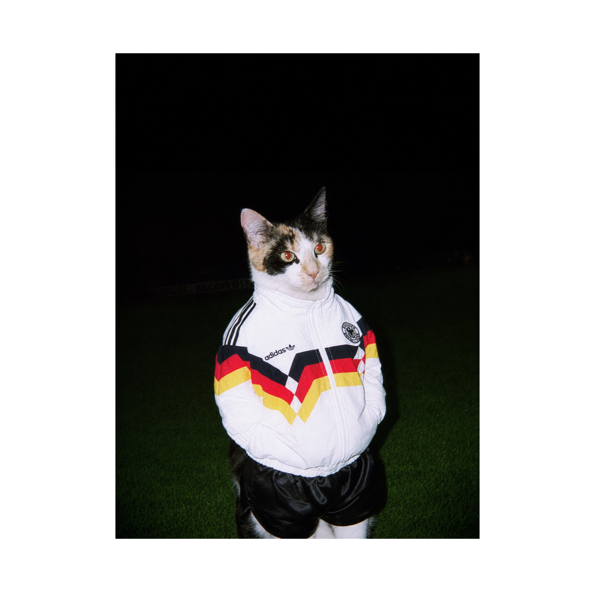 "Berlin Wall" - Framed Pet Portrait