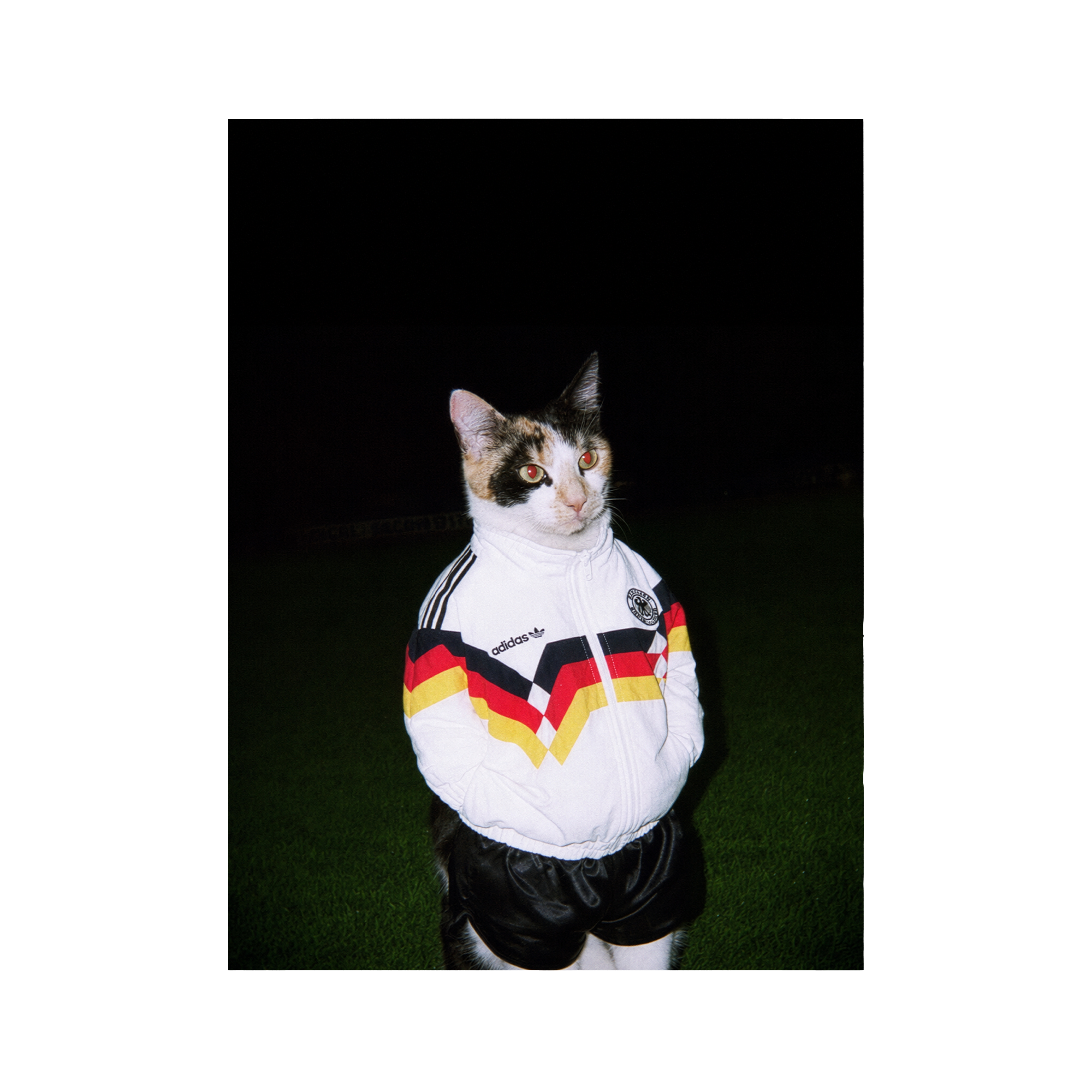 "Berlin Wall" - Framed Pet Portrait