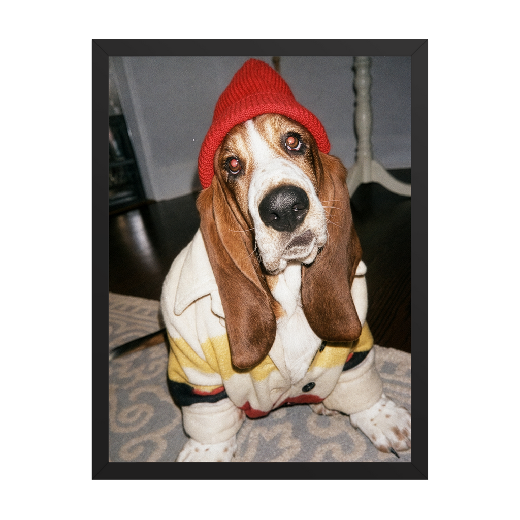 "Slow Morning" - Framed Pet Portrait