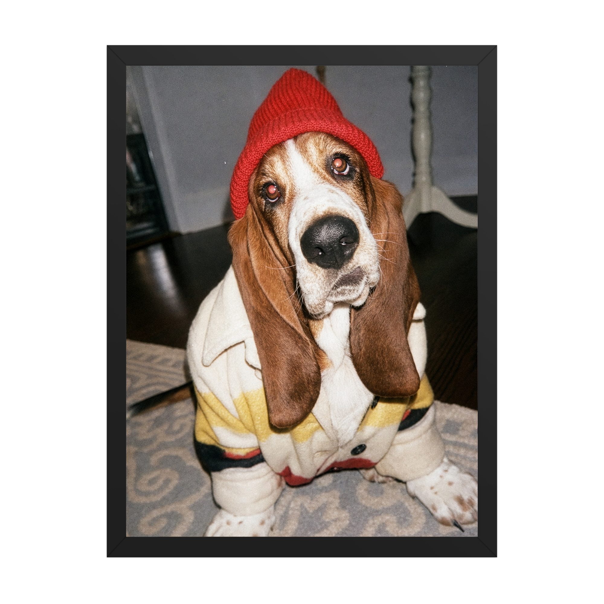 "Slow Morning" - Framed Pet Portrait