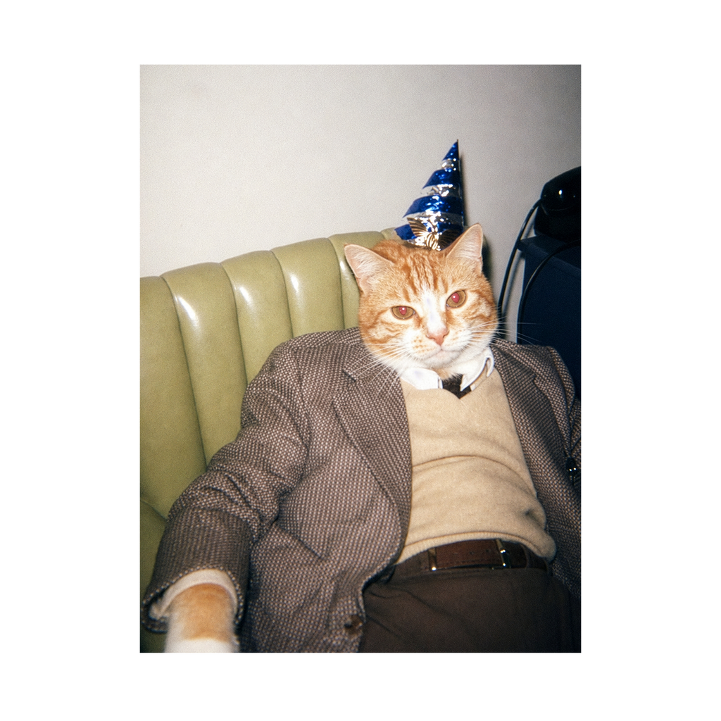 "Birthday Boy" - Framed Pet Portrait