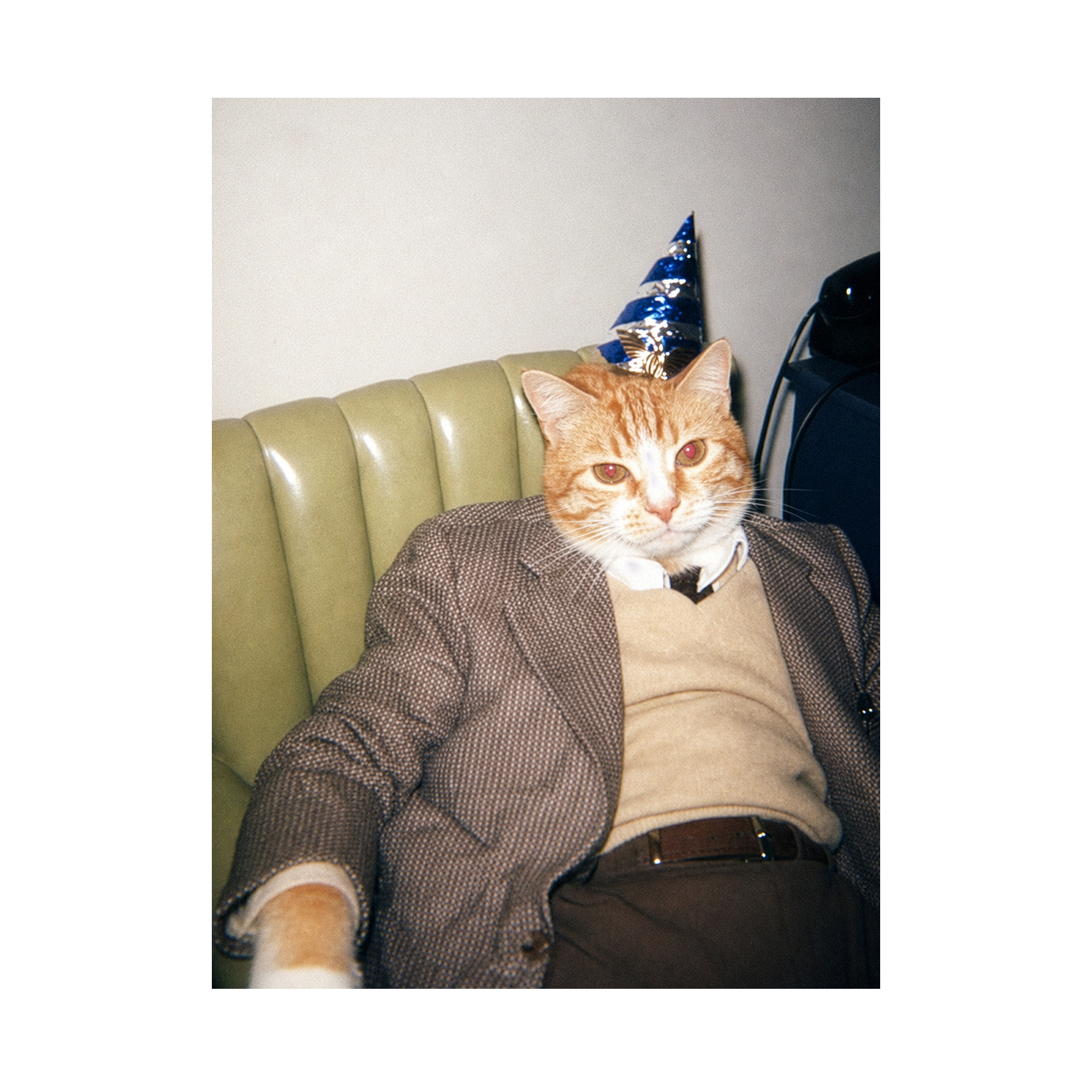 "Birthday Boy" - Framed Pet Portrait