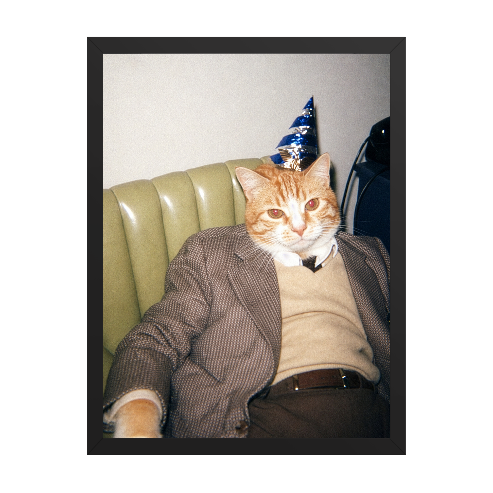 "Birthday Boy" - Framed Pet Portrait