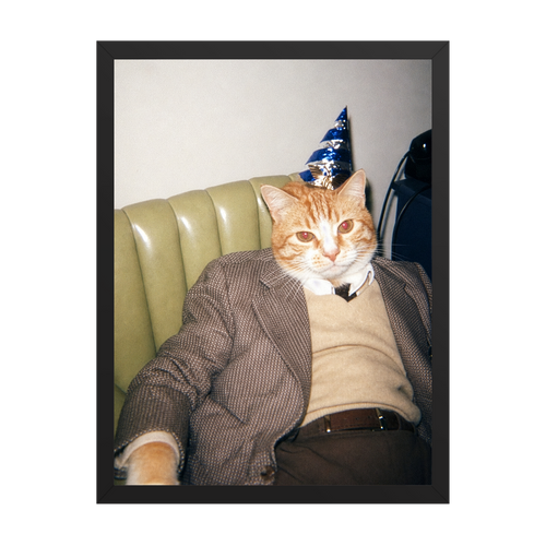 "Birthday Boy" - Framed Pet Portrait