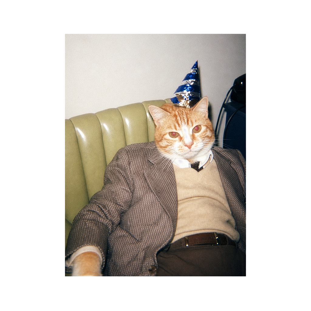 "Birthday Boy" - Framed Pet Portrait