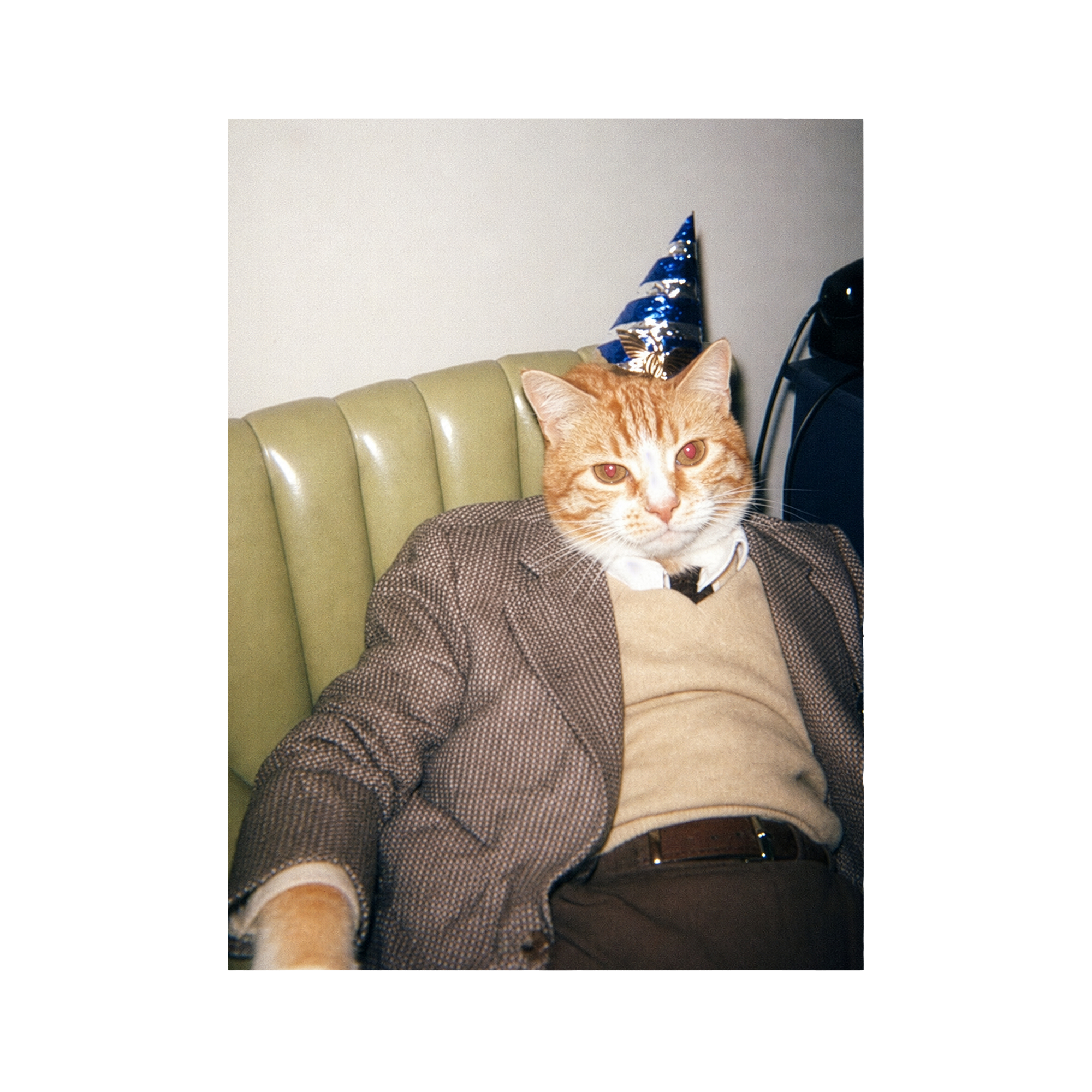 "Birthday Boy" - Framed Pet Portrait