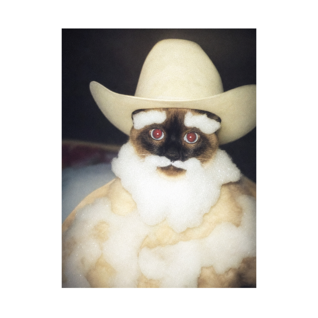 "Wild West" - Framed Pet Portrait