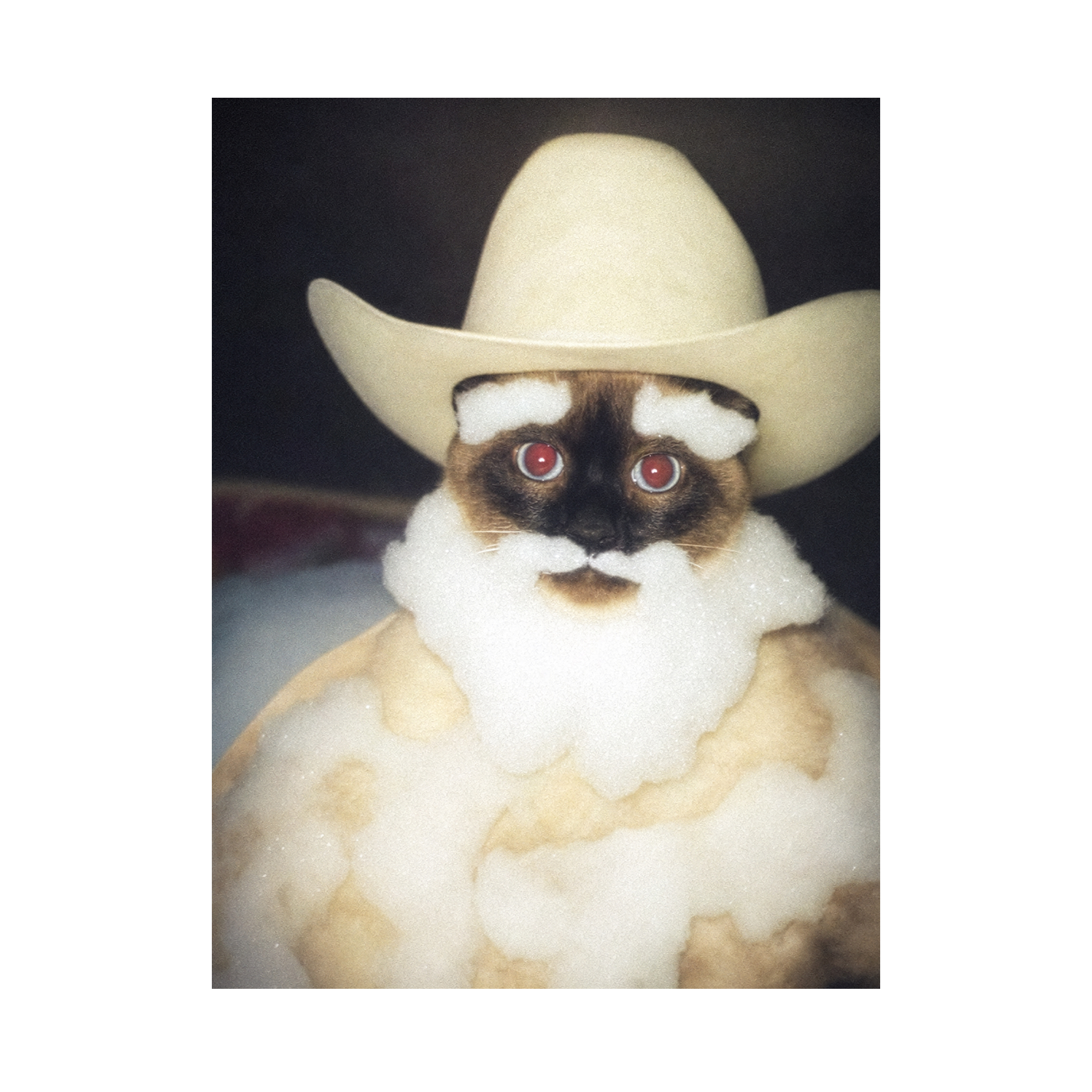 "Wild West" - Framed Pet Portrait