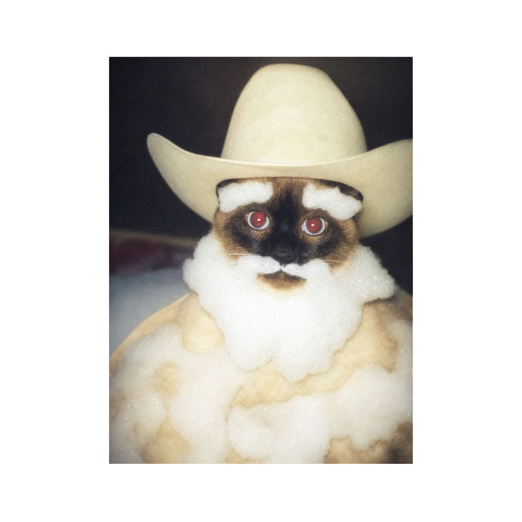 "Wild West" - Framed Pet Portrait