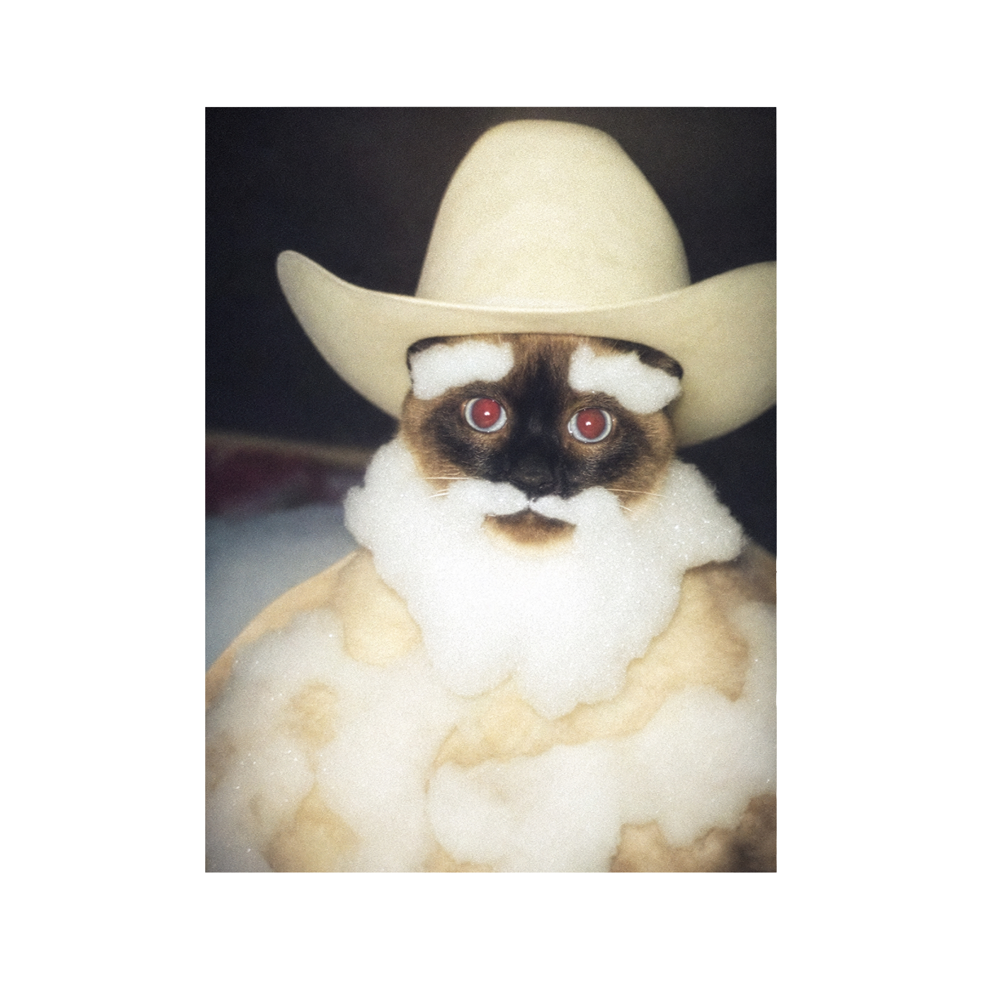 "Wild West" - Framed Pet Portrait