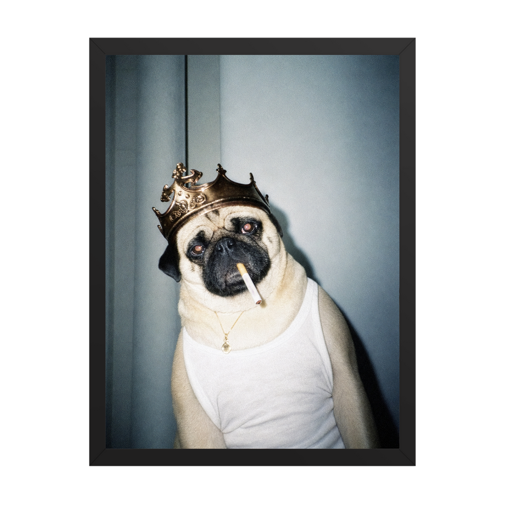 "His Majesty"  - Framed Pet Portrait