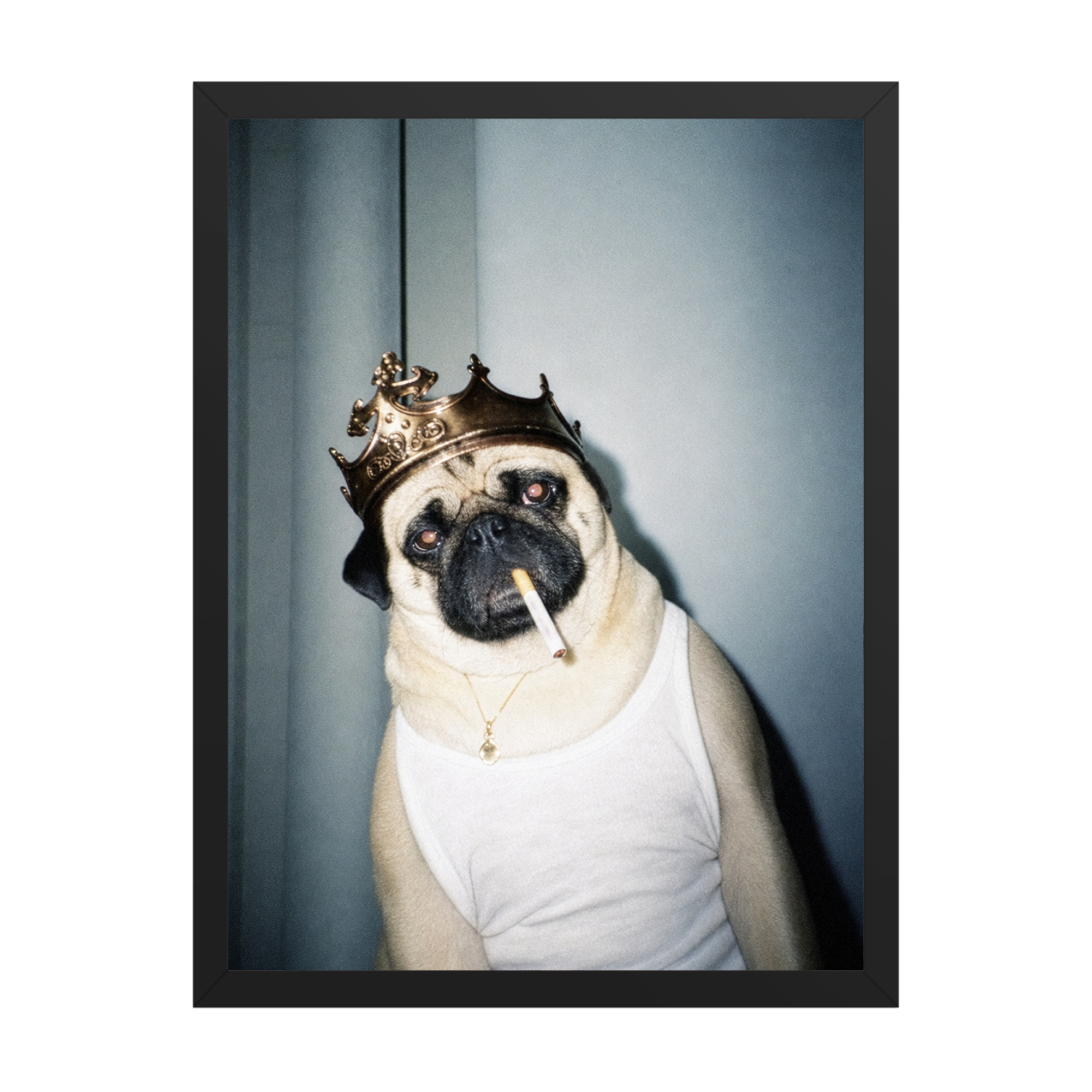"His Majesty"  - Framed Pet Portrait