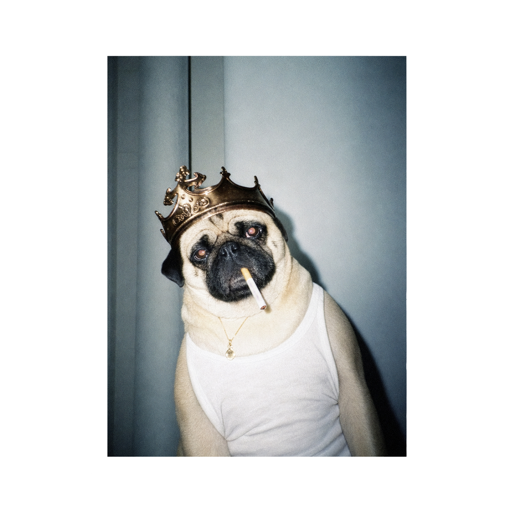 "His Majesty"  - Framed Pet Portrait