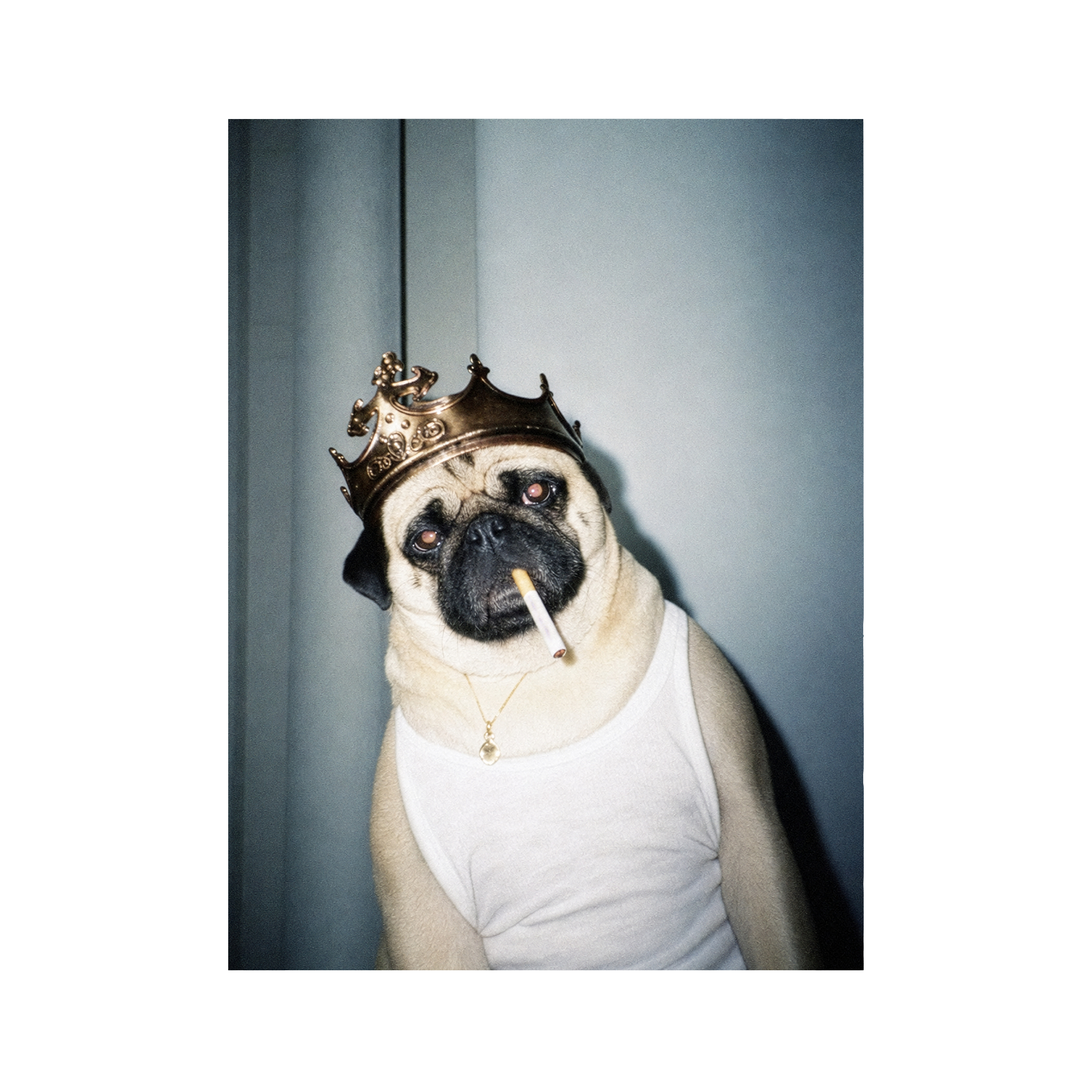 "His Majesty"  - Framed Pet Portrait