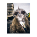 "City Boy"  - Framed Pet Portrait