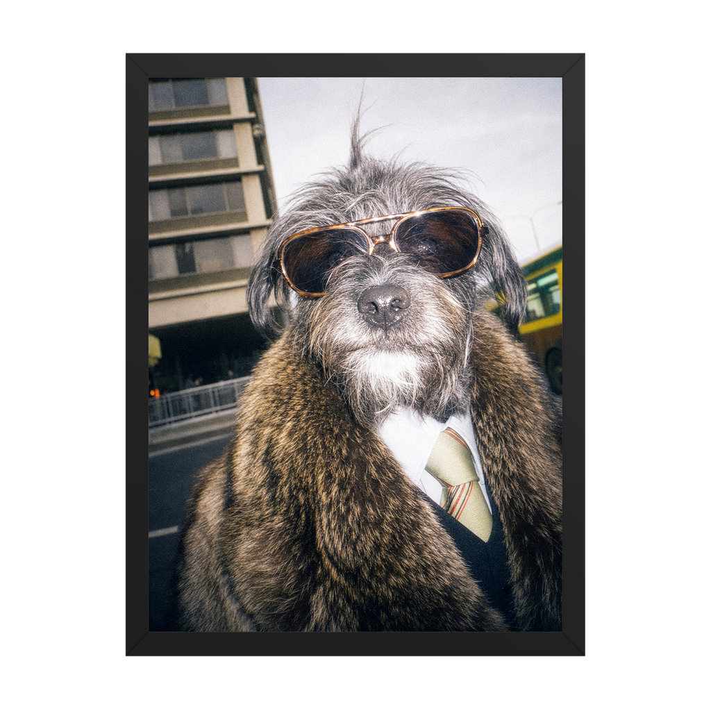 "City Boy"  - Framed Pet Portrait