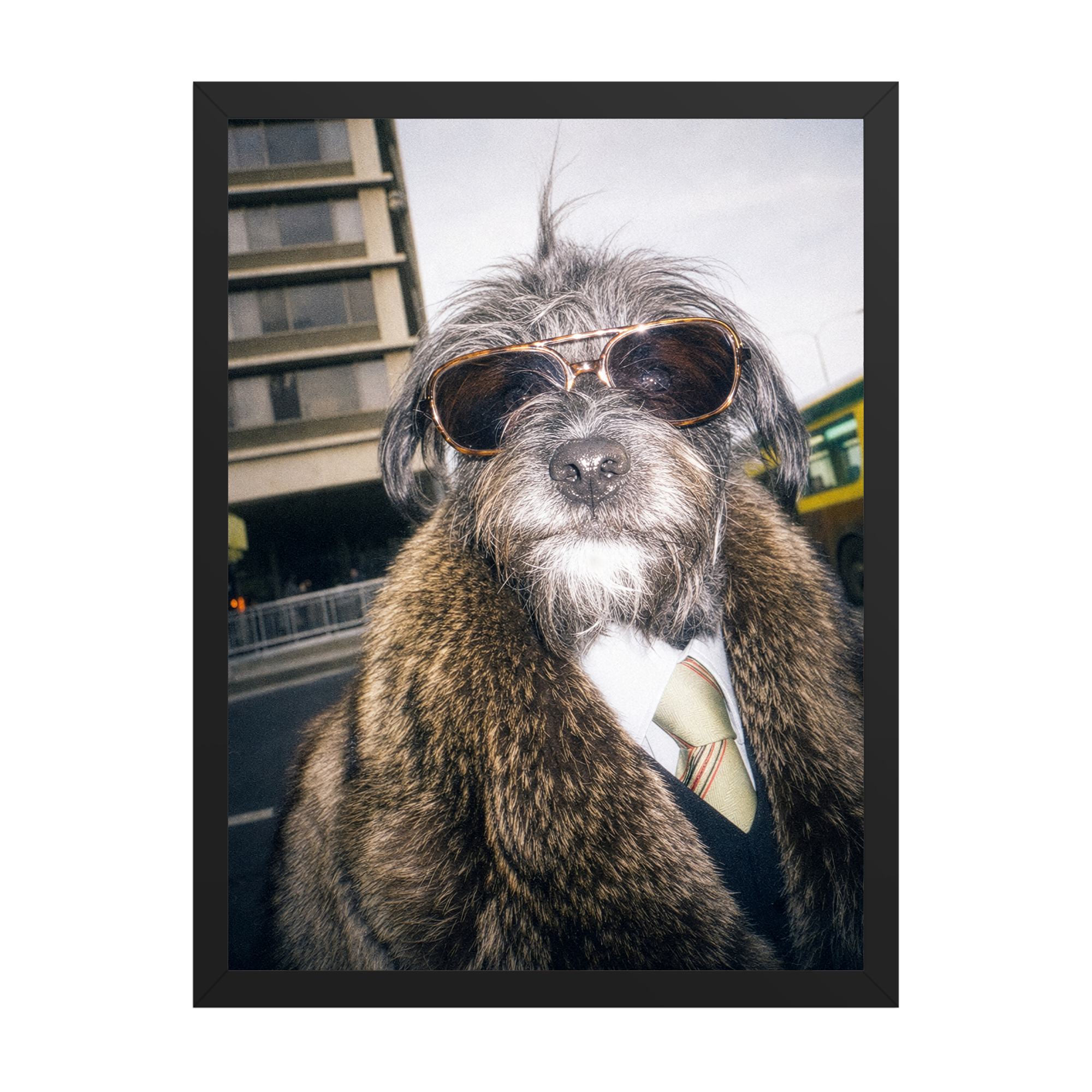 "City Boy"  - Framed Pet Portrait