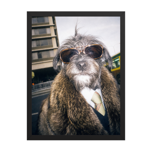"City Boy"  - Framed Pet Portrait