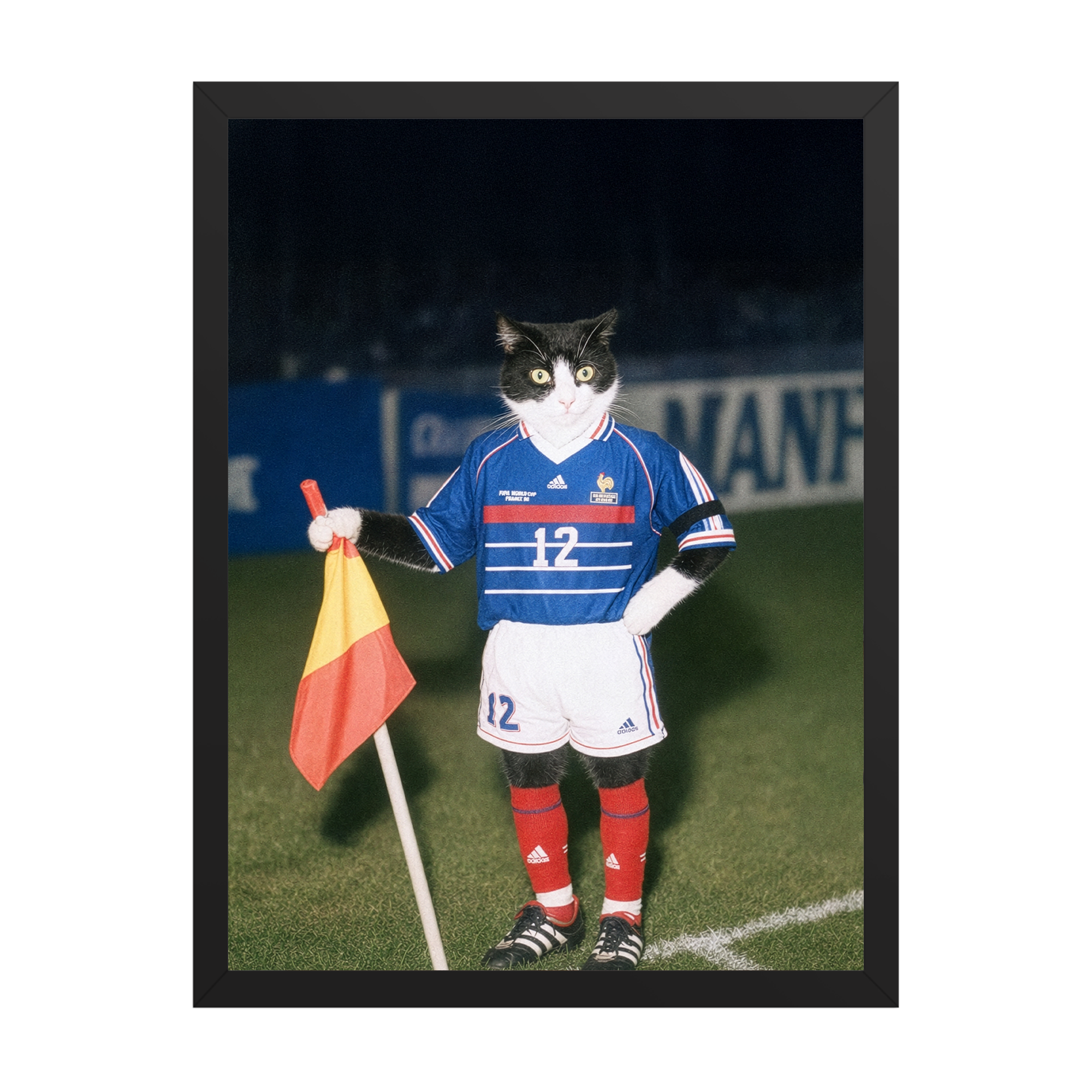 "France '98" - Framed Pet Portrait
