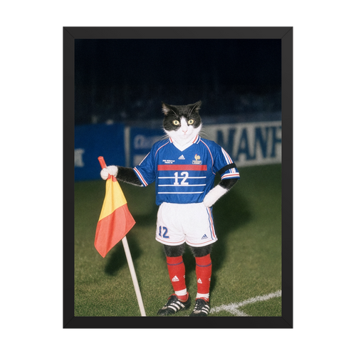 "France '98" - Framed Pet Portrait