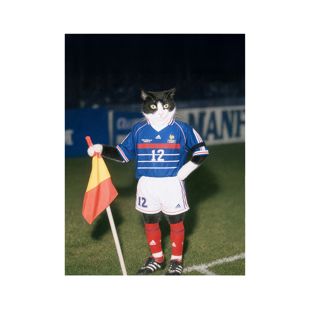 "France '98" - Framed Pet Portrait