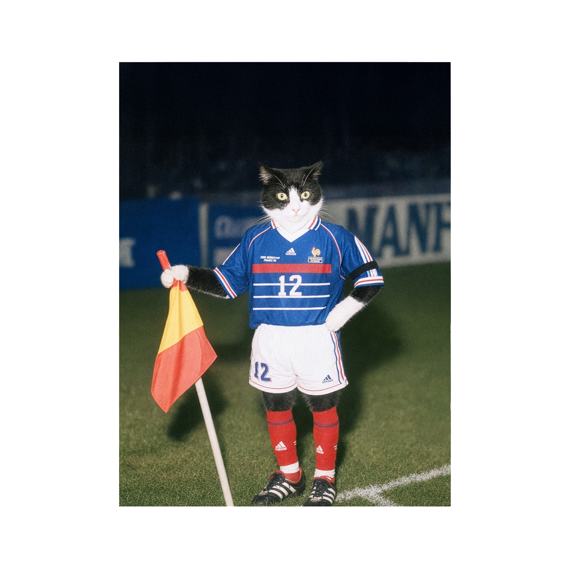 "France '98" - Framed Pet Portrait