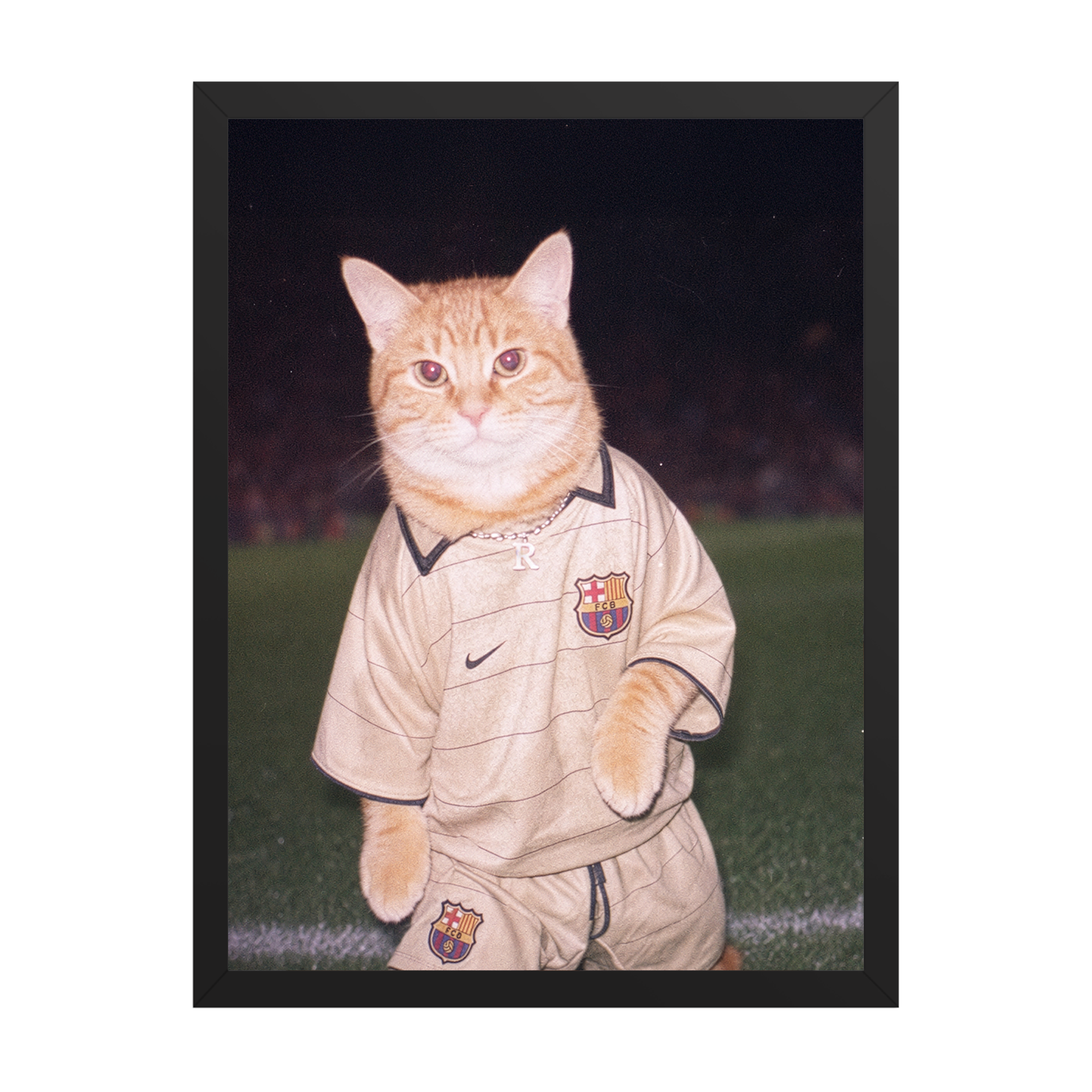"La Masia" - Framed Pet Portrait
