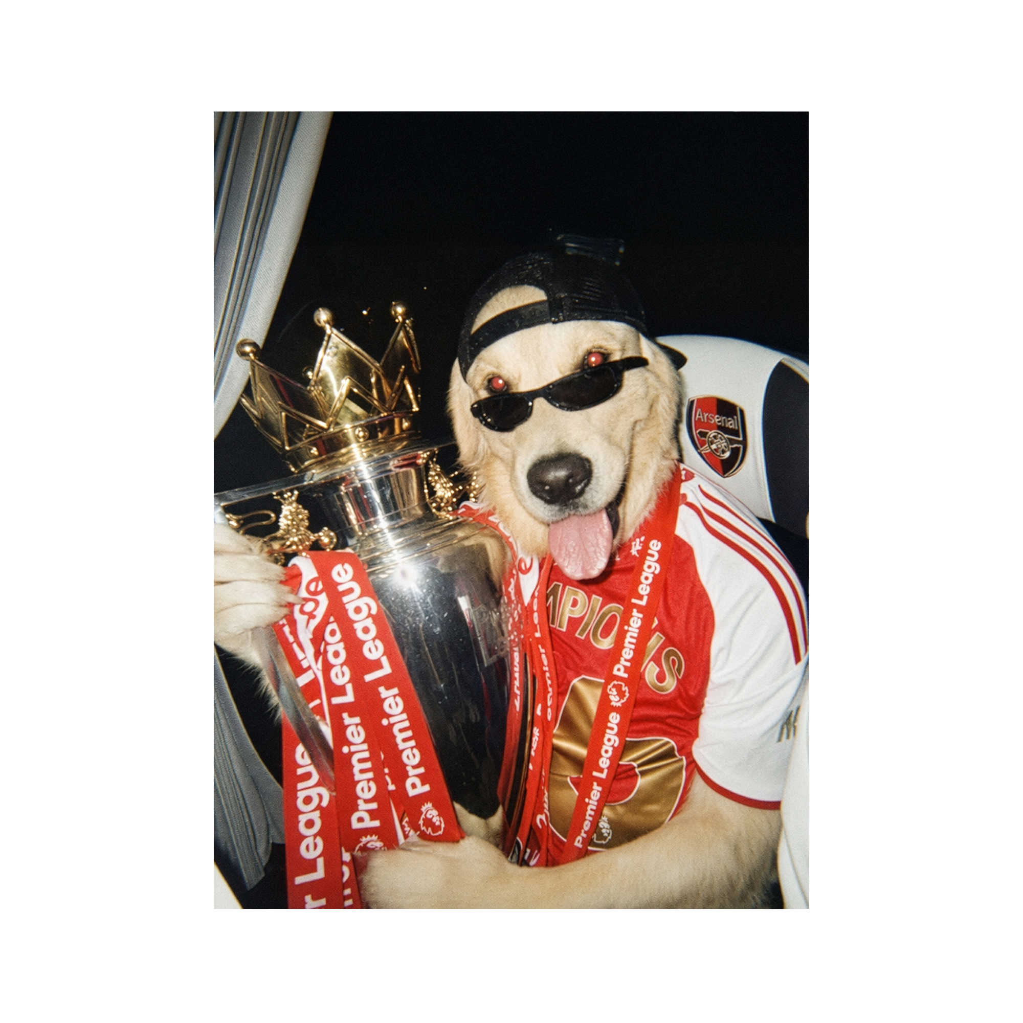"North London" - Framed Pet Portrait