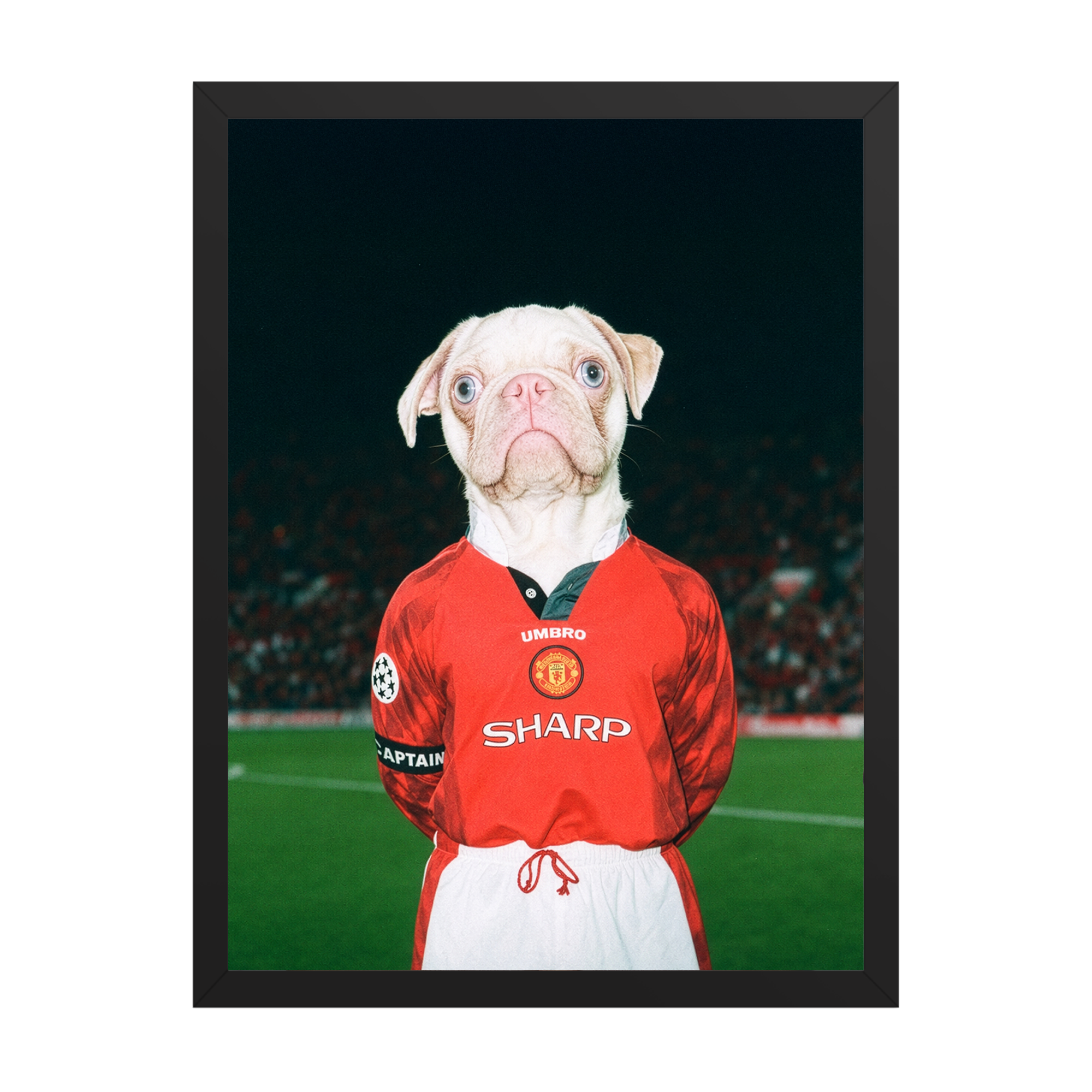 "Old Trafford" - Framed Pet Portrait