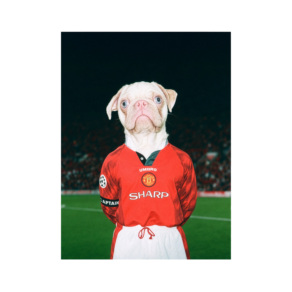 "Old Trafford" - Framed Pet Portrait