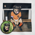 "Oranje" - Custom Pet Portrait T-Shirt