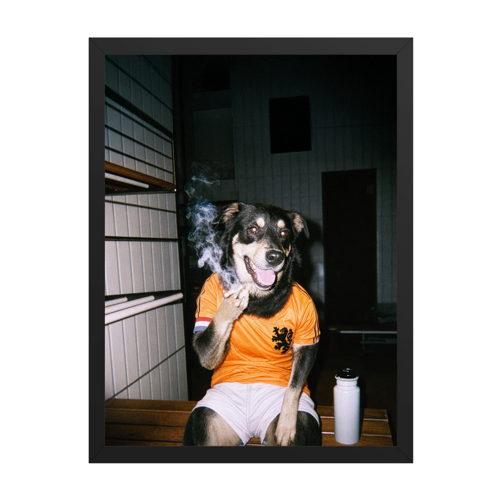 "Oranje" - Framed Pet Portrait