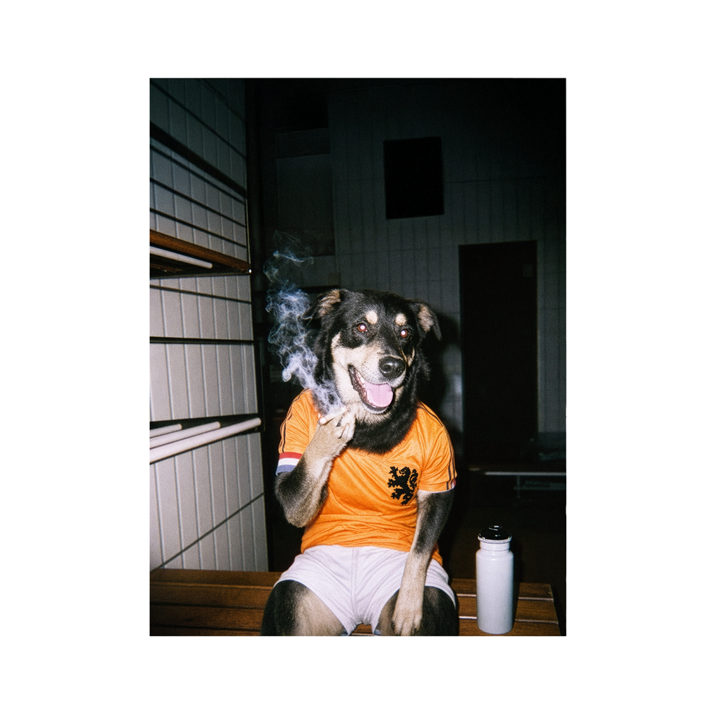 "Oranje" - Framed Pet Portrait