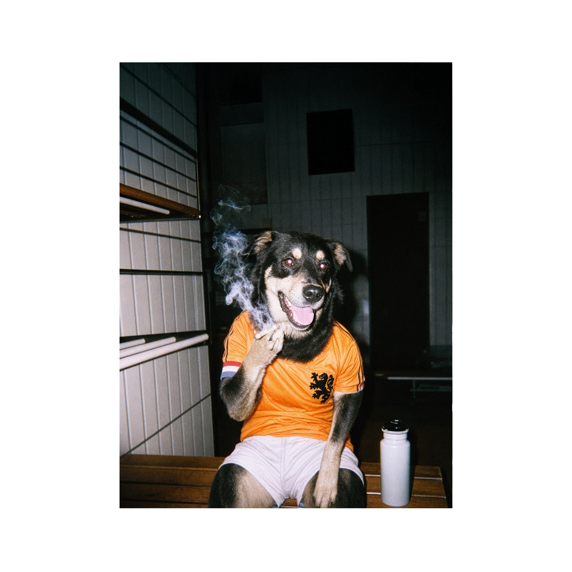 "Oranje" - Framed Pet Portrait