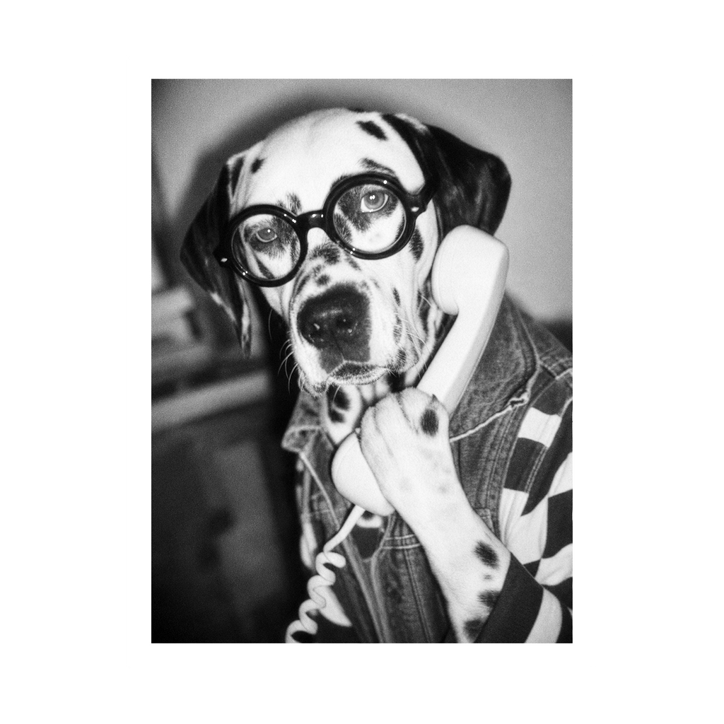 "Hold The Line"  - Framed Pet Portrait