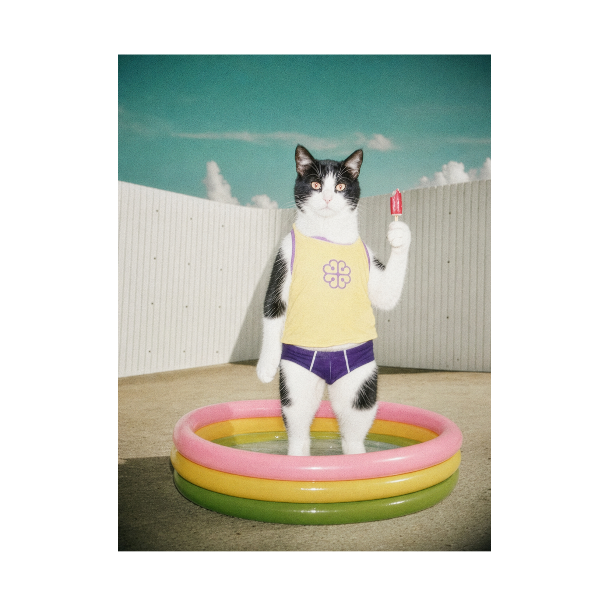 "Pool Day"  - Framed Pet Portrait