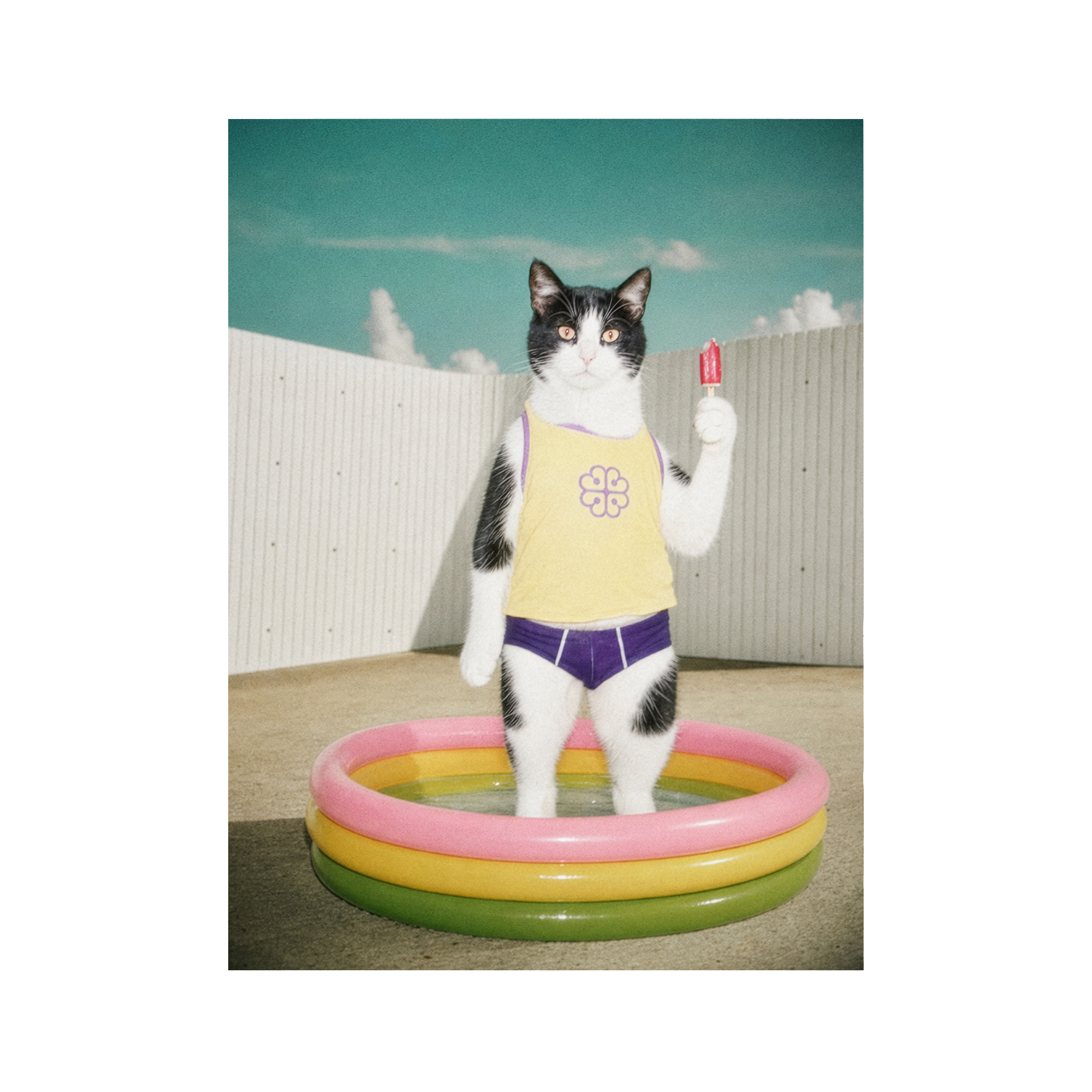 "Pool Day"  - Framed Pet Portrait