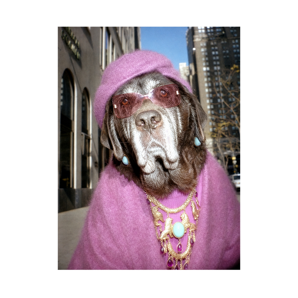 "Fifth Avenue" - Framed Pet Portrait