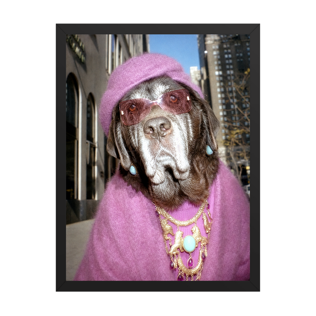 "Fifth Avenue" - Framed Pet Portrait