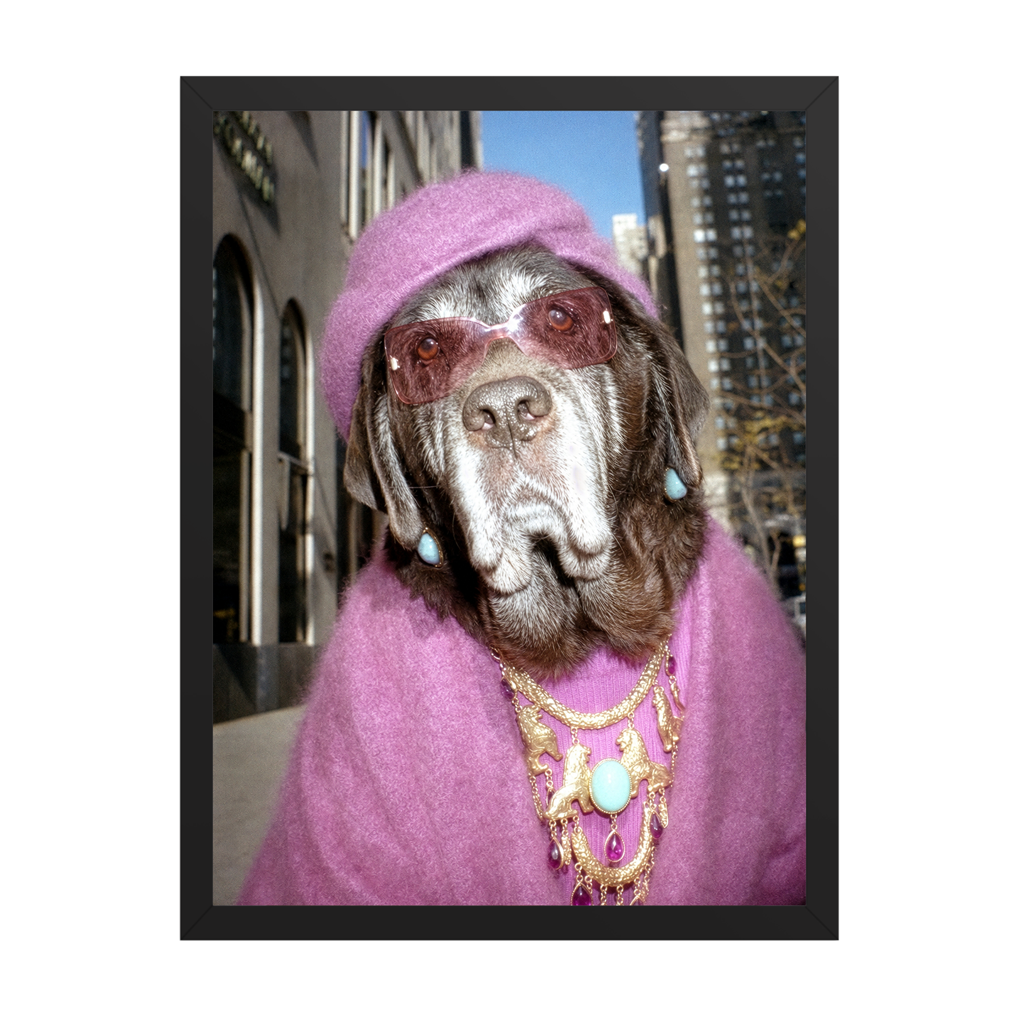 "Fifth Avenue" - Framed Pet Portrait