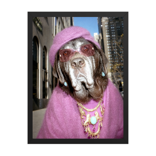"Fifth Avenue" - Framed Pet Portrait