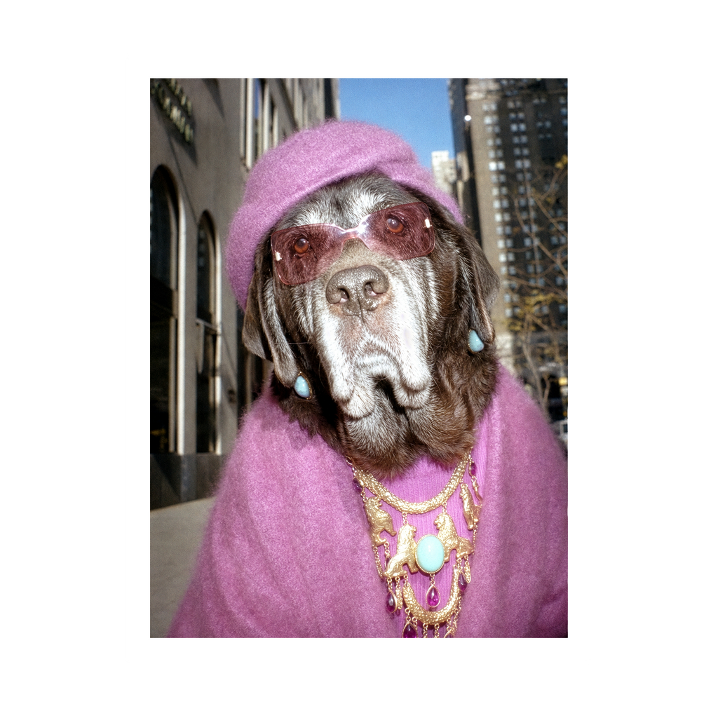 "Fifth Avenue" - Framed Pet Portrait