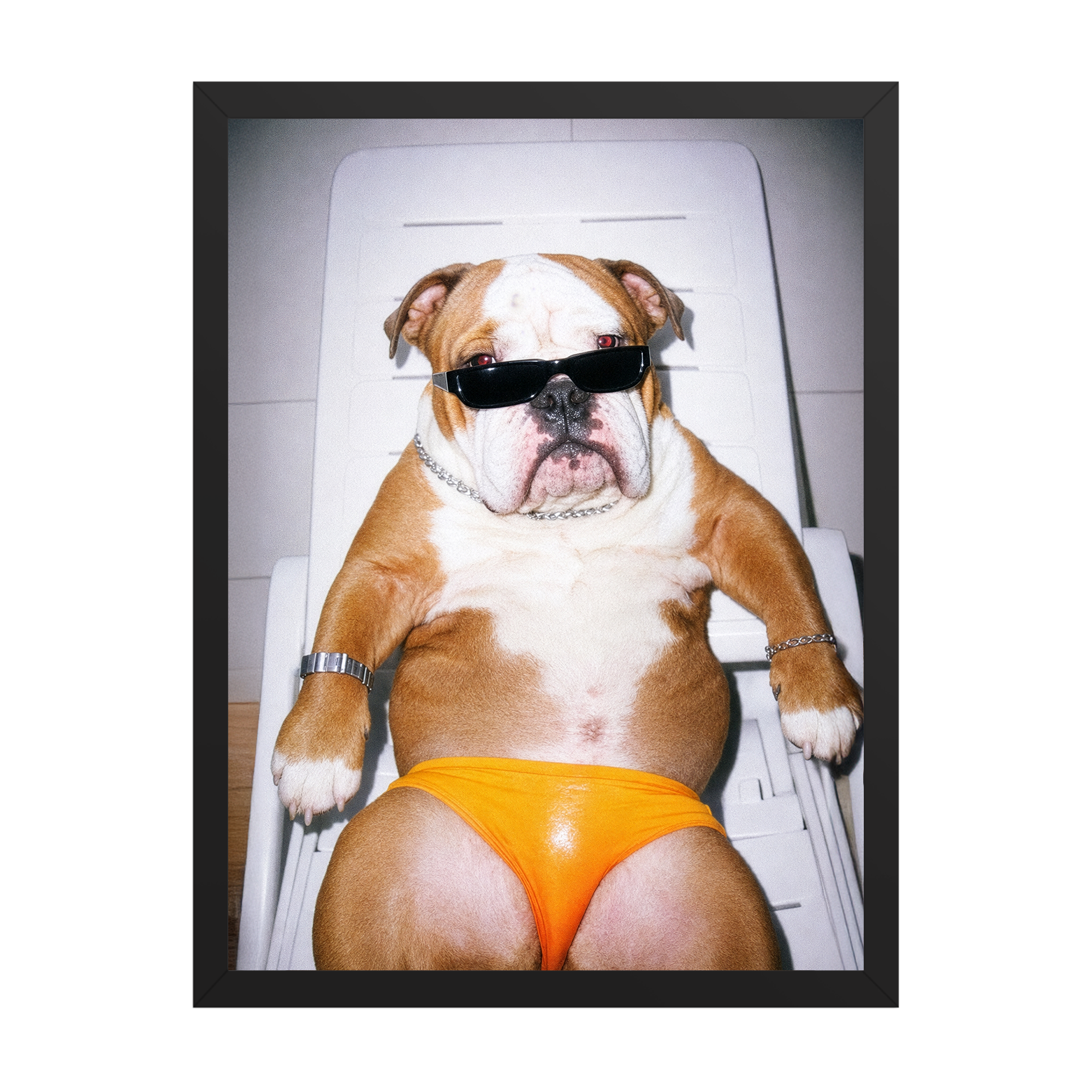 "Sexy Beast" - Framed Pet Portrait