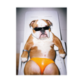 "Sexy Beast" - Framed Pet Portrait