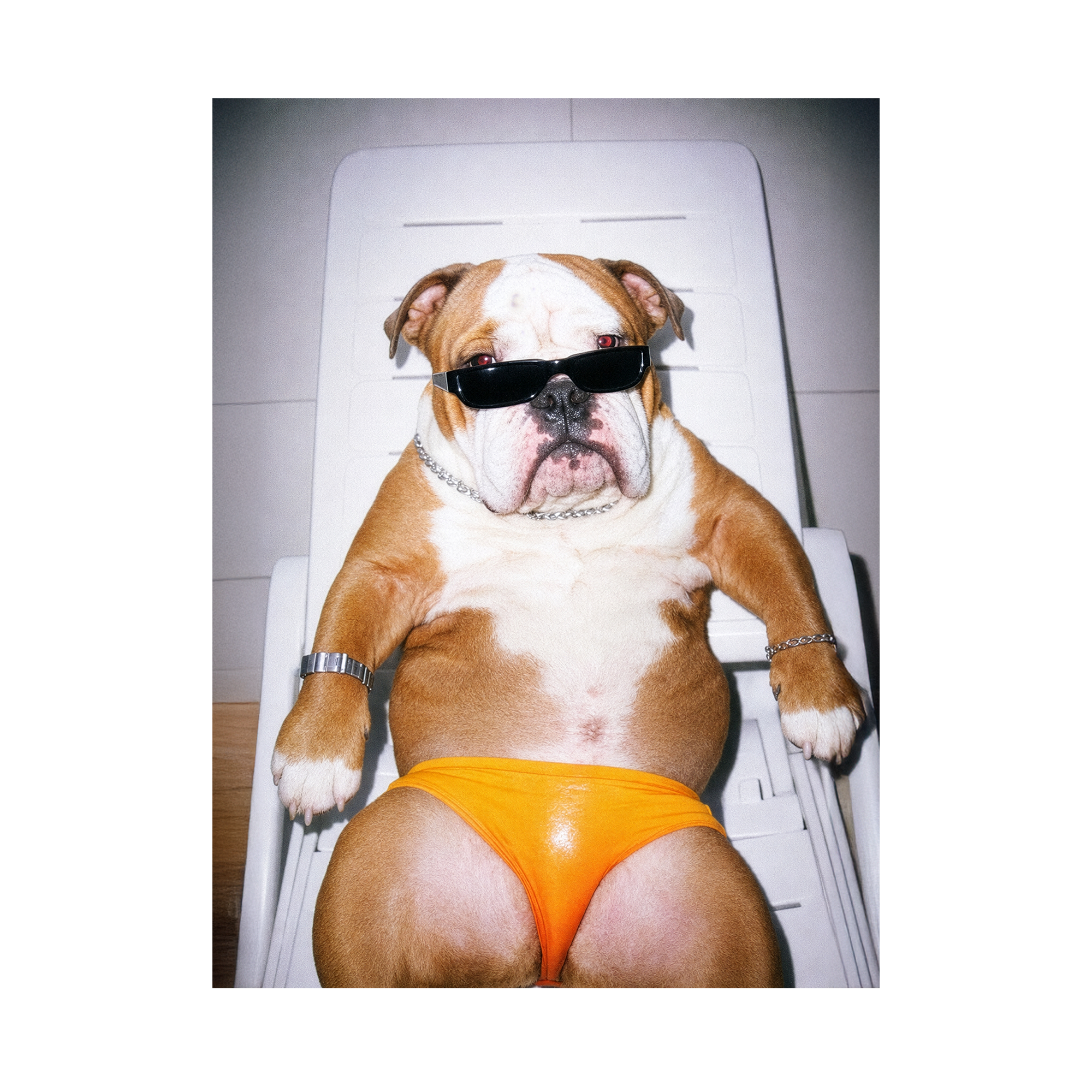 "Sexy Beast" - Framed Pet Portrait