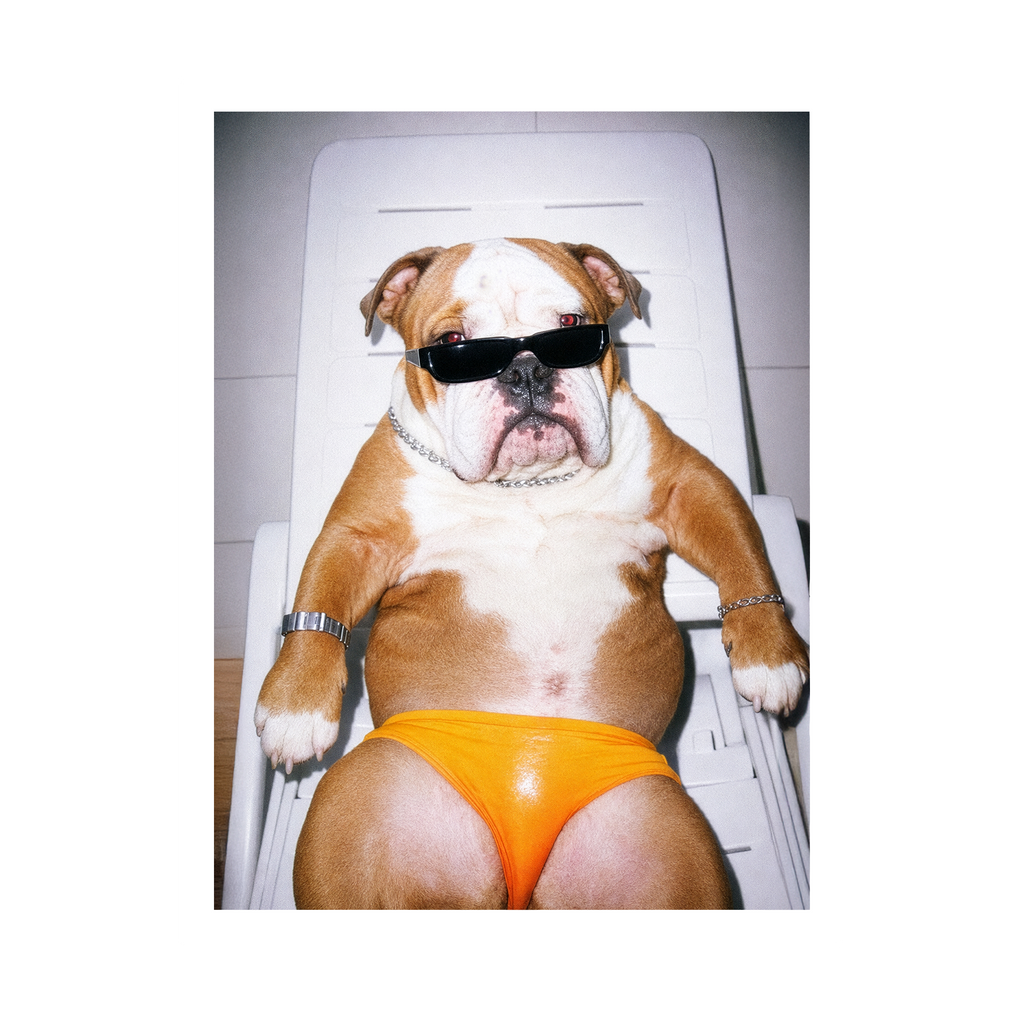 "Sexy Beast" - Framed Pet Portrait