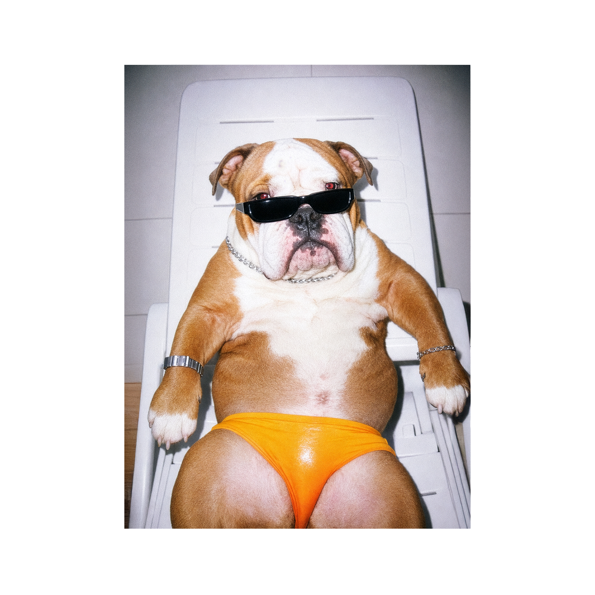 "Sexy Beast" - Framed Pet Portrait
